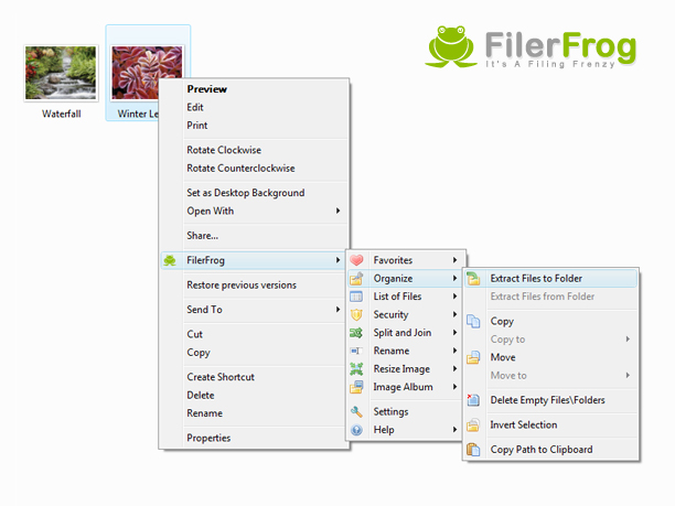 FilerFrog in action